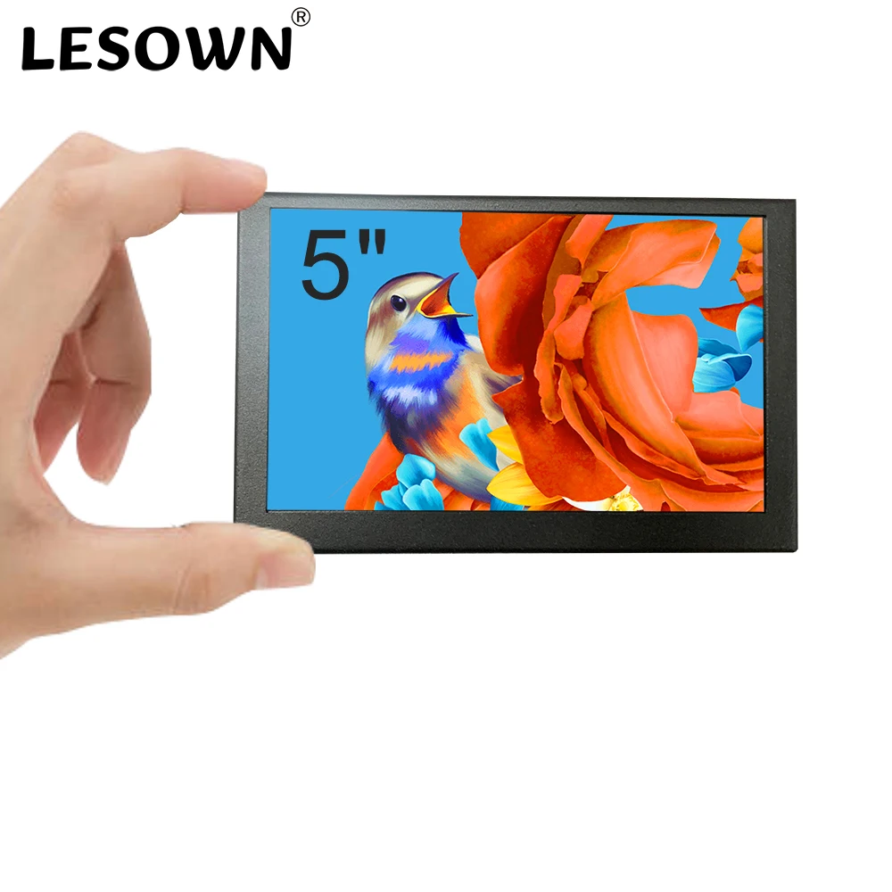 LESOWN 5 Inch Mini Monitor IPS - Retro Gaming Monitor recension och pris